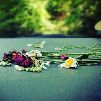 华体会登录手机版下载手机版