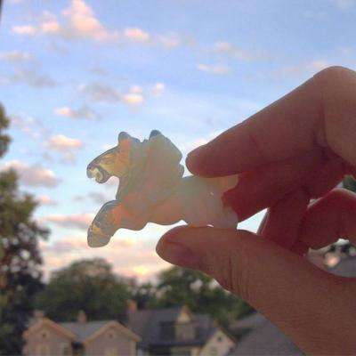 炸金花单机游戏