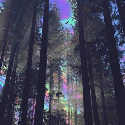 新澳门六开彩资料大全下载手机版