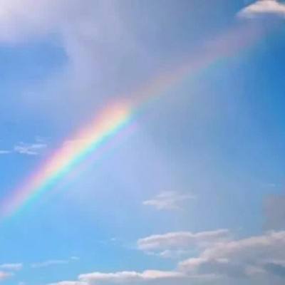 im电竞在线登录